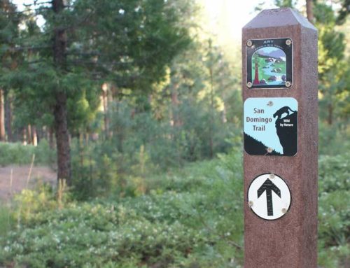 Arnold Rim Trail Association Launches Community Survey to Gather Input for Master Plan