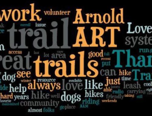 ARTA Community Survey Results are in!