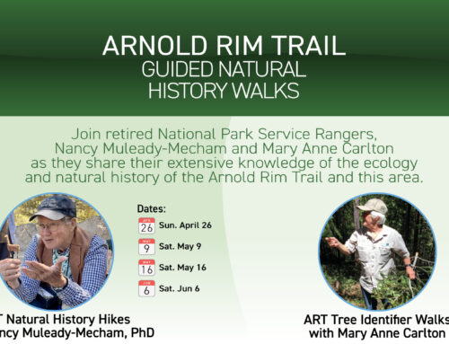 Arnold Rim Trail — Guided Natural History & Tree Identifier Walks – 2026