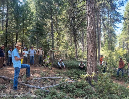 Amazing International Mountain Biking Association (IMBA) Training 3 Day Event