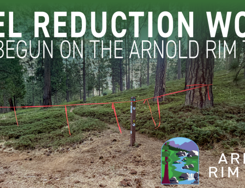 Fuel Reduction Work Underway along the Arnold Rim Trail